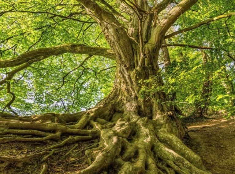 Sales training, sales consultant, sales training courses, sales mindset training, sales training programmes, leadership development, Sales leadership coaching, sales leadership development